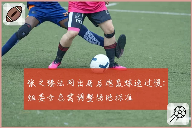 张之臻法网出局后炮轰球速过慢：组委会急需调整场地标准