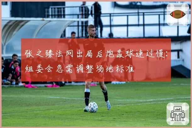 张之臻法网出局后炮轰球速过慢：组委会急需调整场地标准