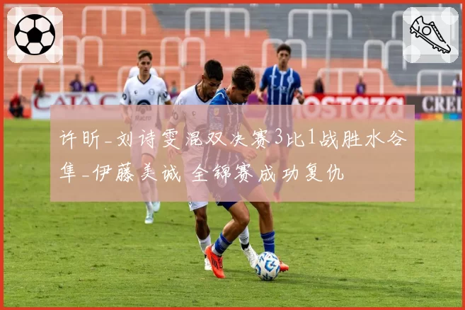 许昕_刘诗雯混双决赛3比1战胜水谷隼_伊藤美诚 全锦赛成功复仇
