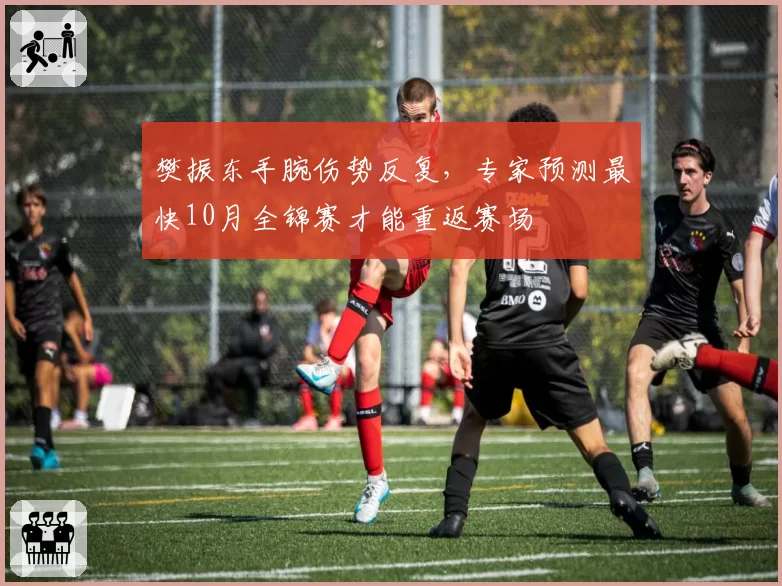 樊振东手腕伤势反复，专家预测最快10月全锦赛才能重返赛场